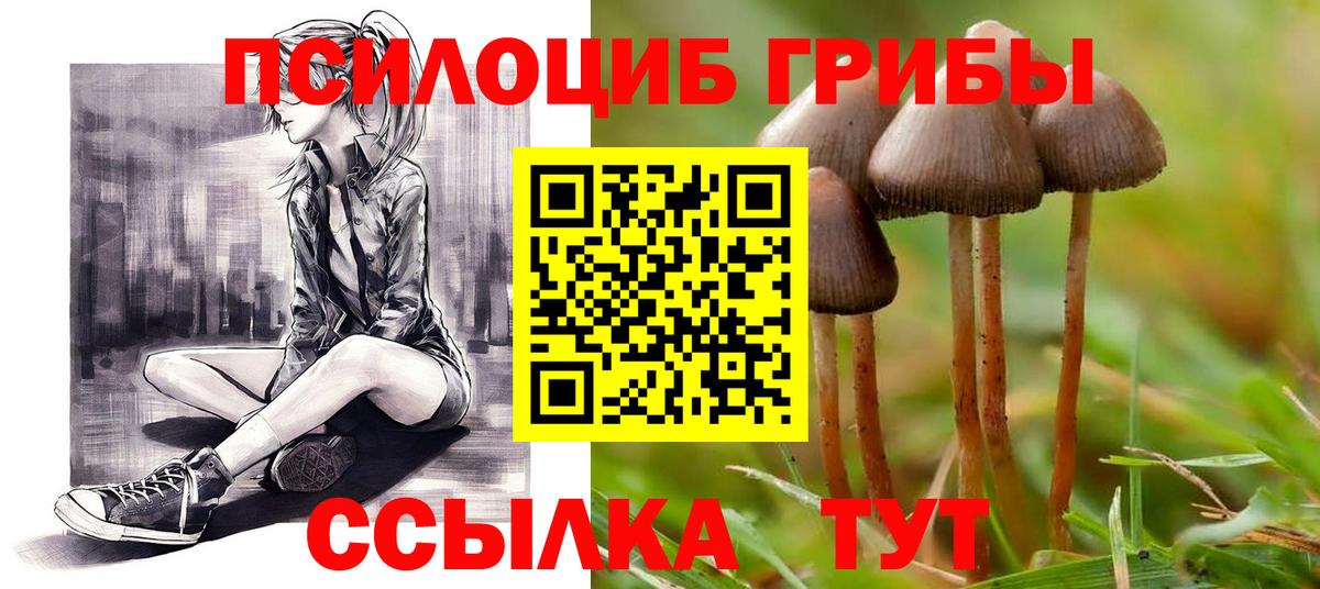 Псилоцибиновые грибы Psilocybine cubensis  Вход с VPN  Клин 